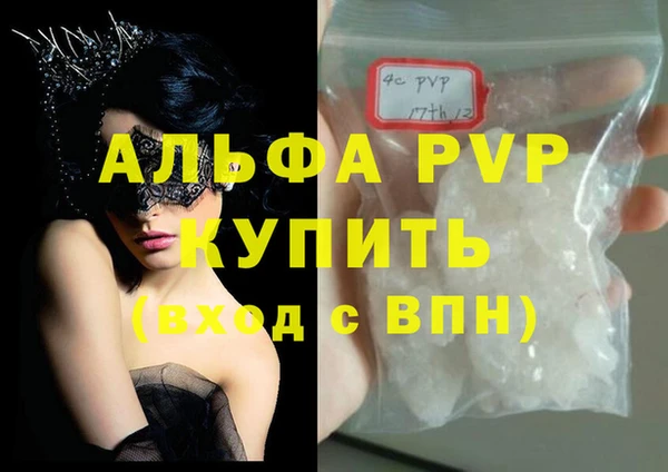 стафф Верхний Тагил