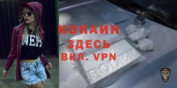 спиды Вяземский