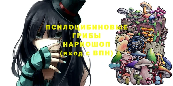 стафф Верхний Тагил