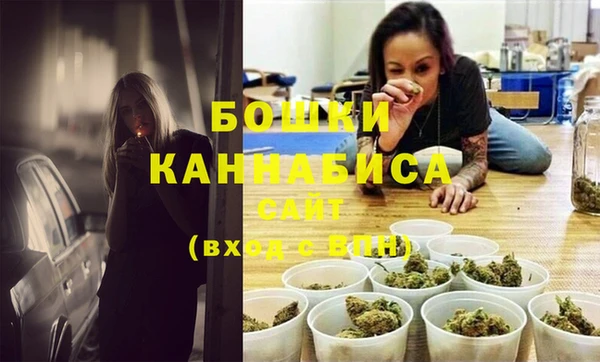 спиды Вяземский