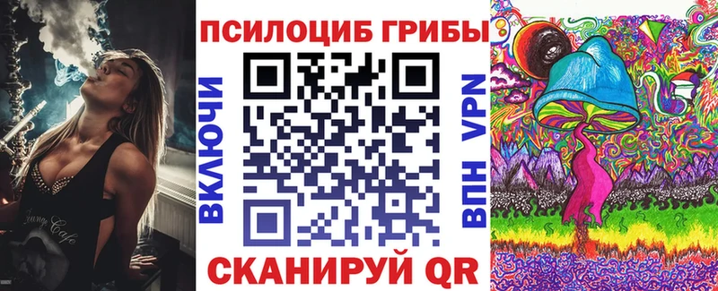 Галлюциногенные грибы Psilocybine cubensis  Купить закладки  Лысково 