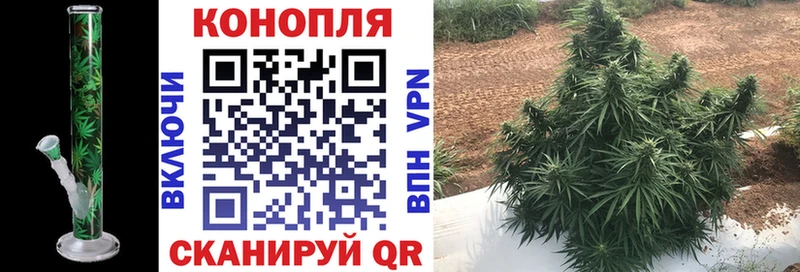 Каннабис ГИДРОПОН  Купить закладки  Лысково 